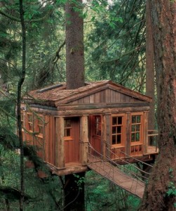 Mark Austin Homes » Blog Archiv A New Look at Treehouses